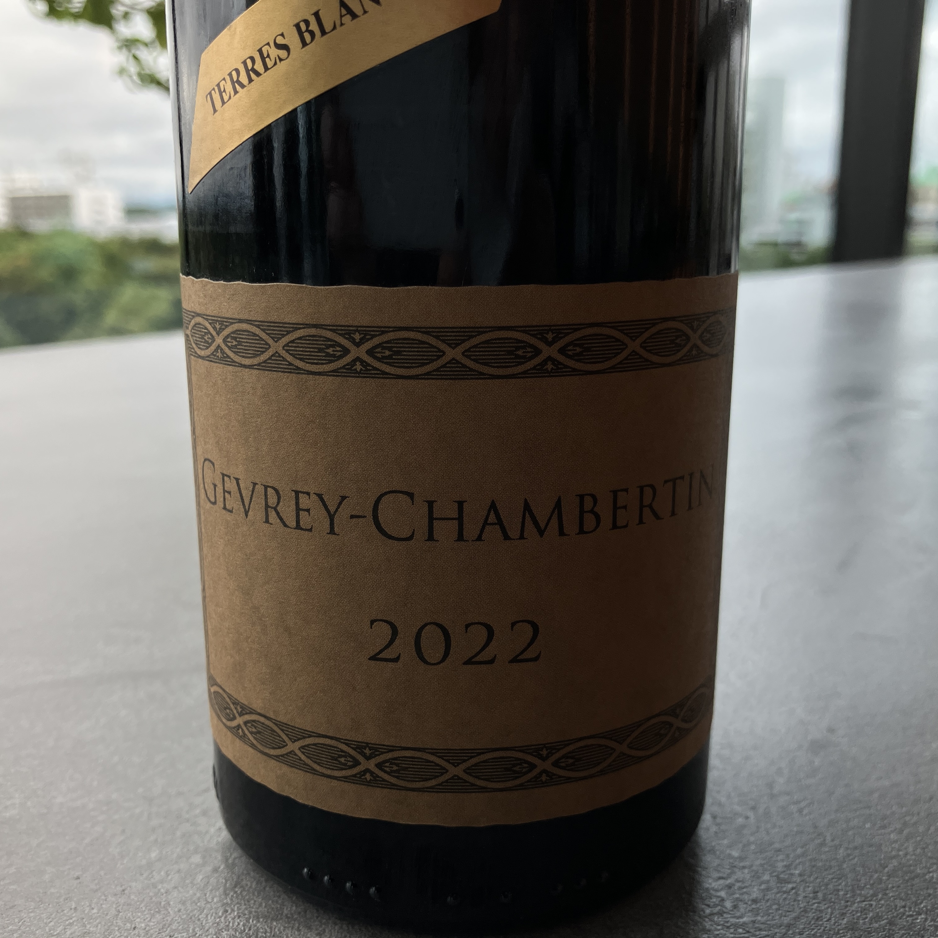 ジュヴレシャンベルタン　テール・ブランシュ　22